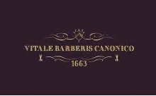 ткани Vitale Barberis Canonico